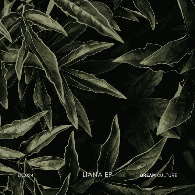 Liana - Modulo Remix cover art