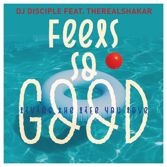 Feels So Good Living The Life You Love - Tom Chubb Soulful Dub Mix cover art