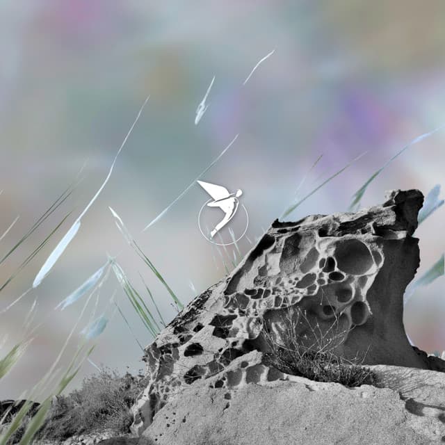 Higher Ground cover art