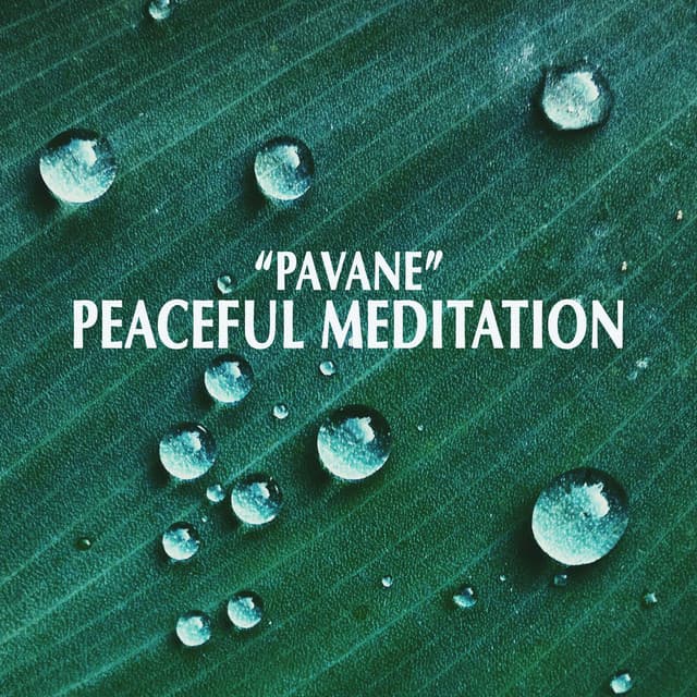 "Pavane" - Peaceful Meditation cover art