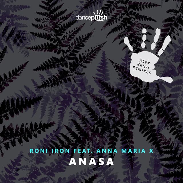 Anasa - Alex Kenji Remix cover art