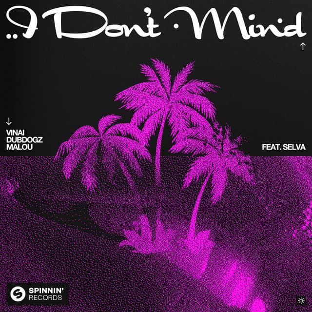 I Don't Mind (feat. Selva) - Extended Mix cover art
