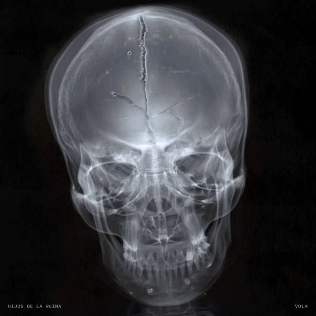 MADRIZ cover art