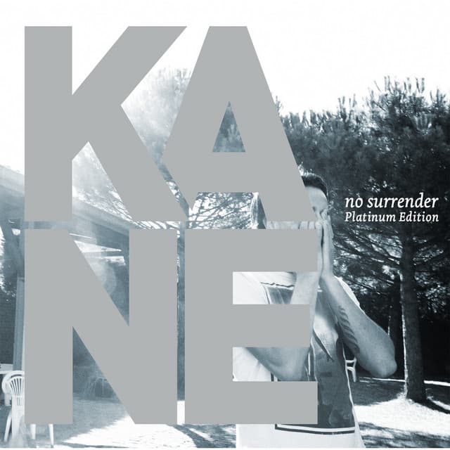 No Surrender: Platinum Edition cover art