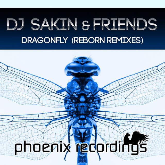 Dragonfly - Philip Kox & Stereoliner Remix cover art