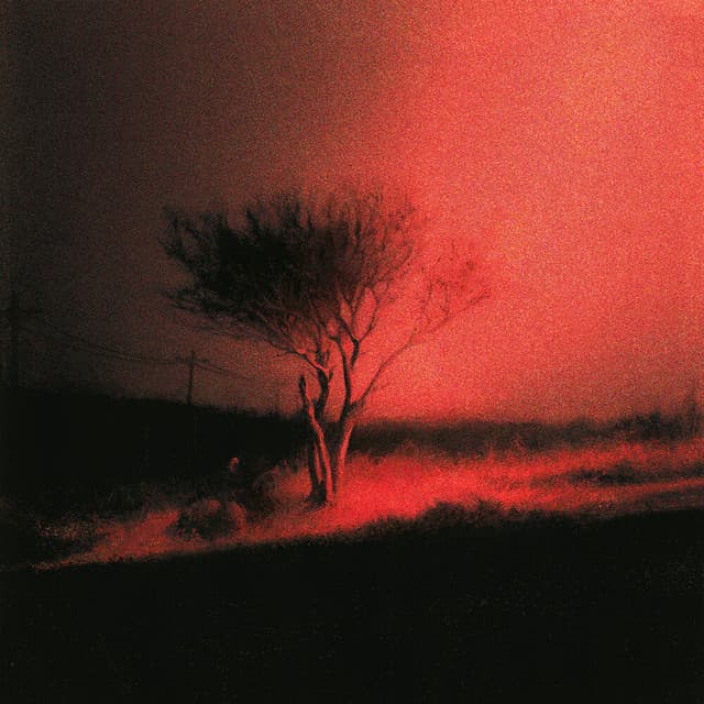 Dior cover art