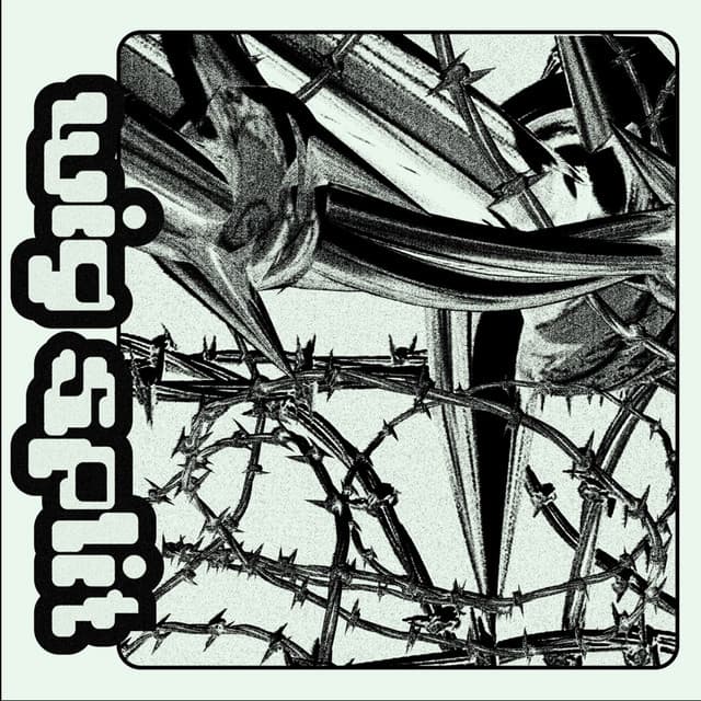 Wig Split cover art