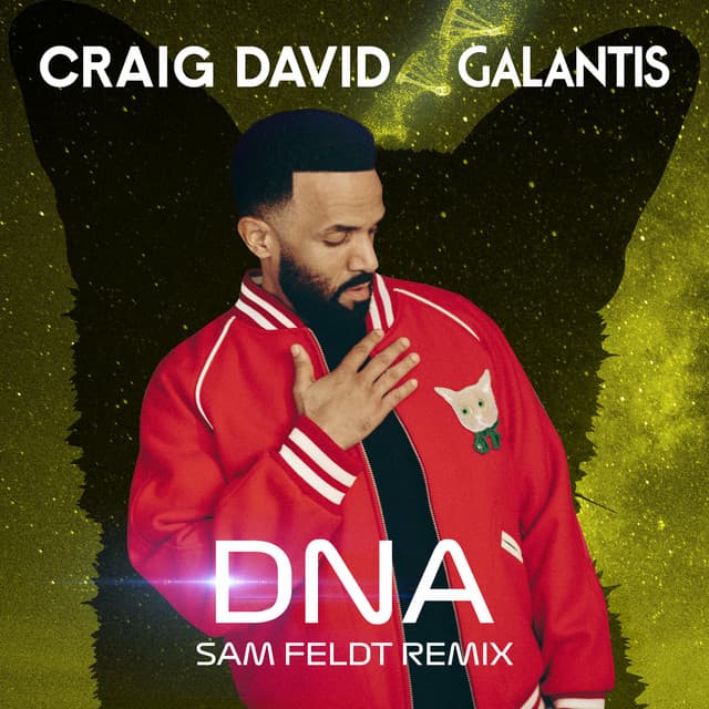 DNA (Sam Feldt Remix) cover art
