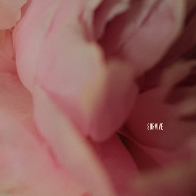 Survive cover art
