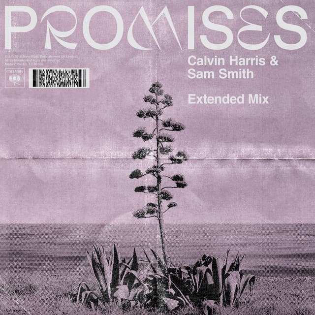 Promises (with Sam Smith) - Extended Mix cover art