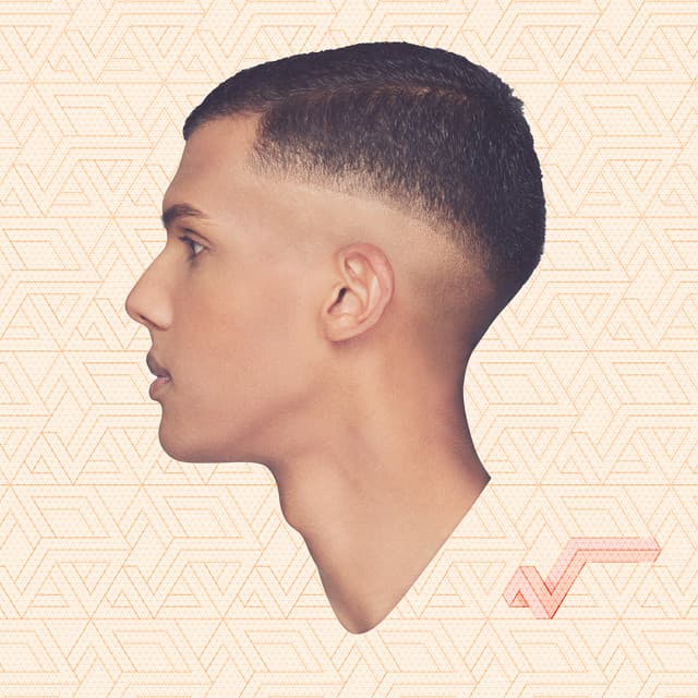 Racine Carrée (Standard US Version) cover art