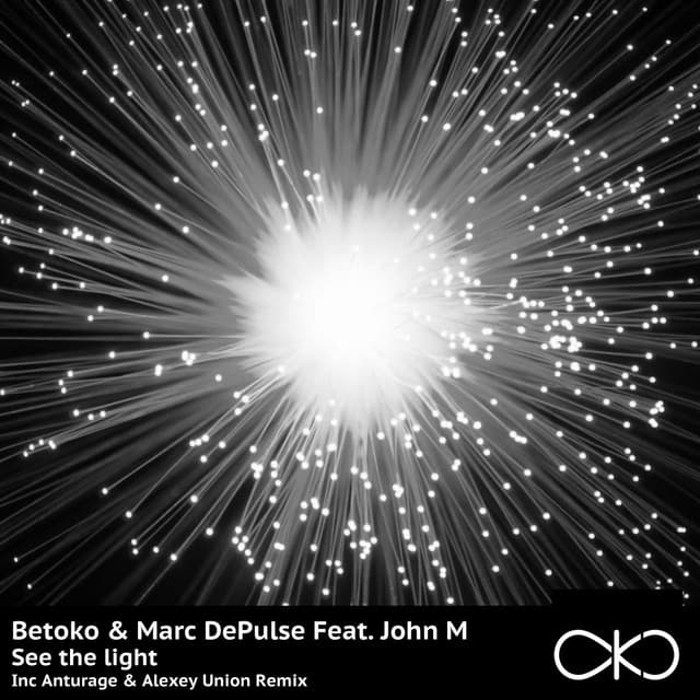See the light - Radio Edit cover art