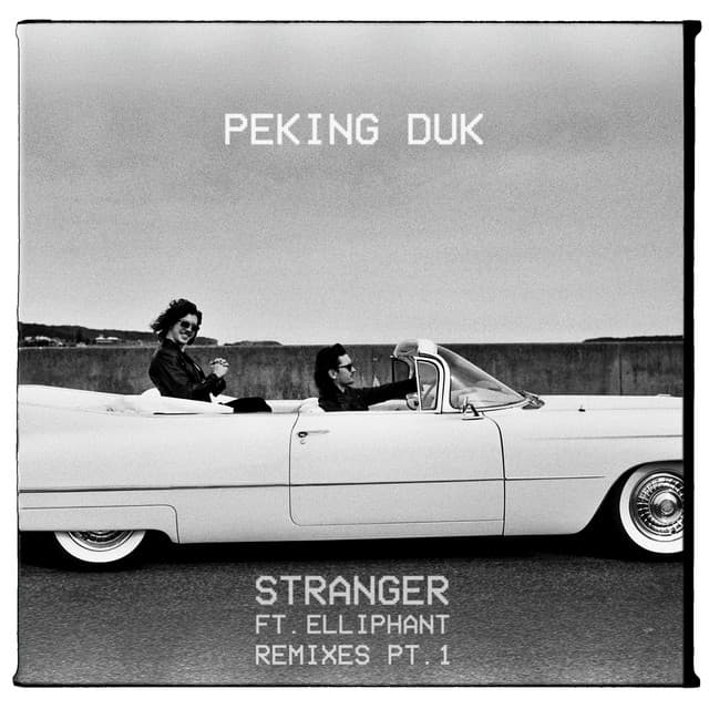 Stranger (feat. Elliphant) - Destructo Remix cover art