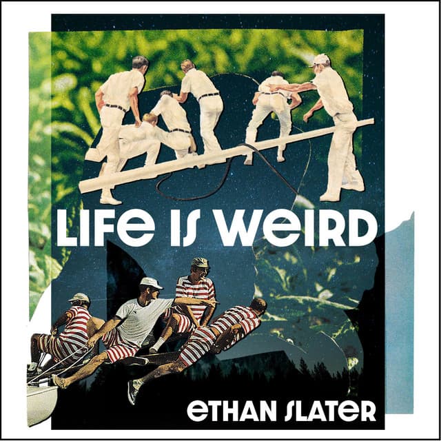 Life Is Weird cover art
