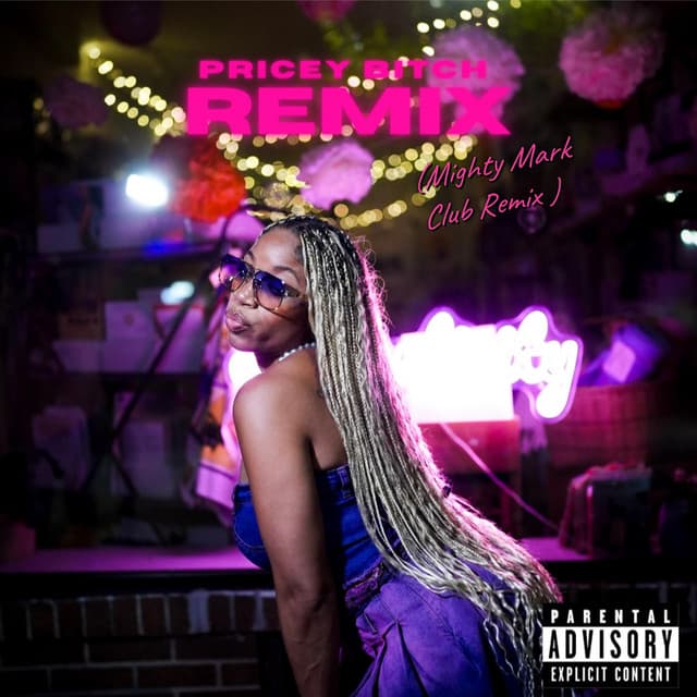 Pricey Bitch - Mighty Mark Remix cover art