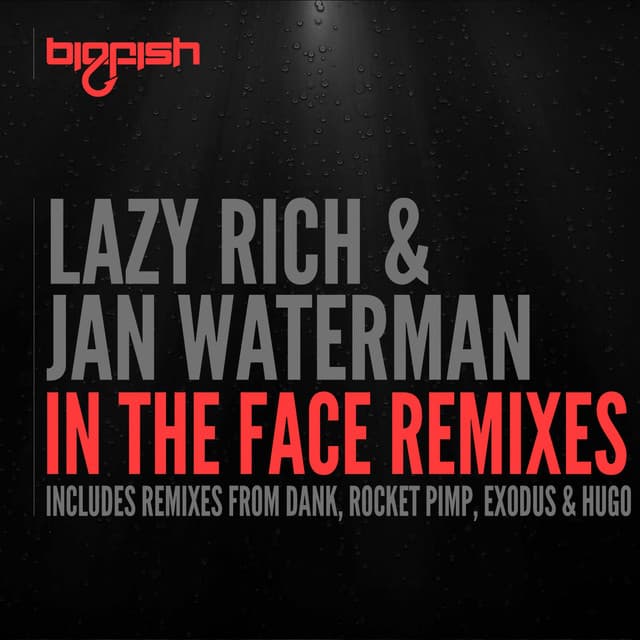In The Face - DANK Remix cover art