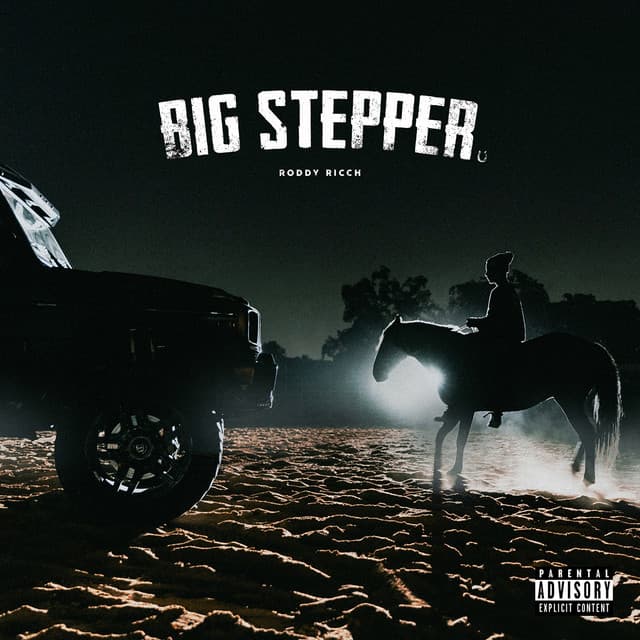 Big Stepper cover art