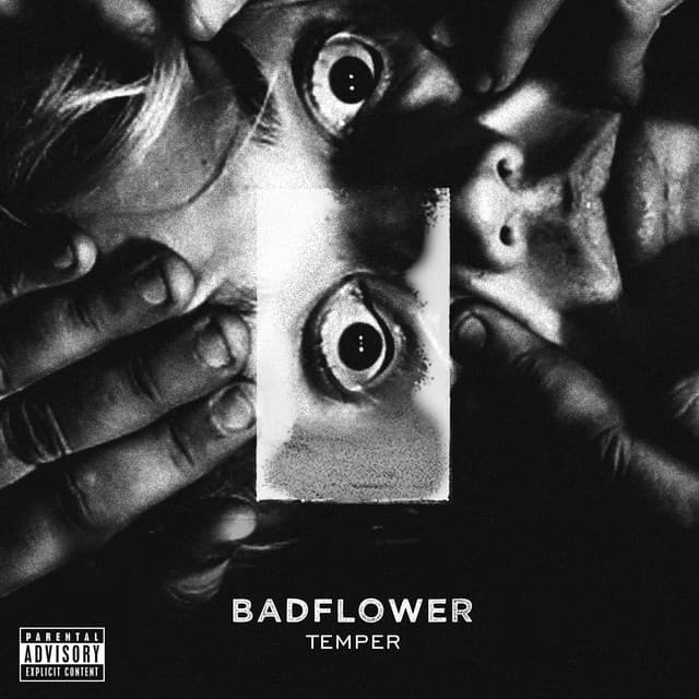 Animal cover art