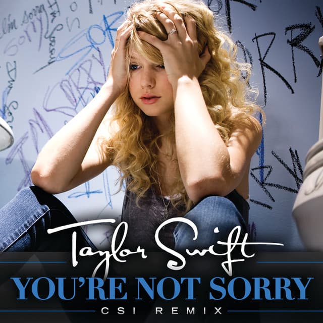 You're Not Sorry - CSI Remix cover art