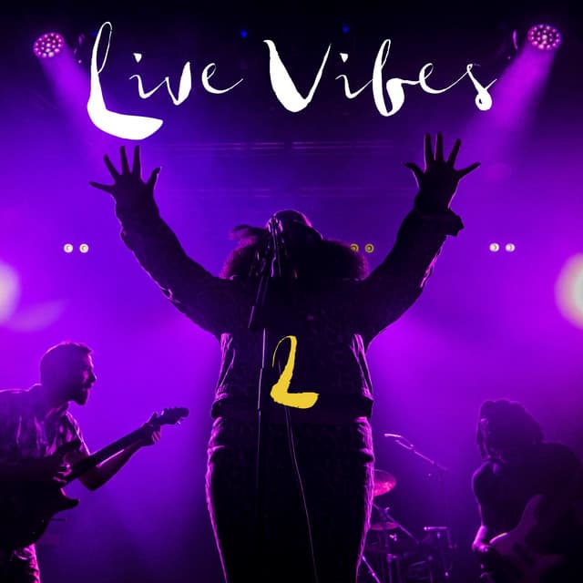 Bradys - Remix / Live cover art