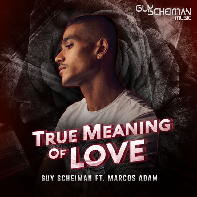 True Meaning of Love - Diego Santander Remix cover art