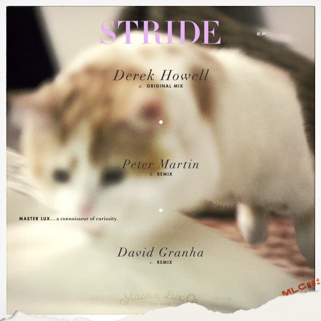 Stride - Peter Martin Remix cover art