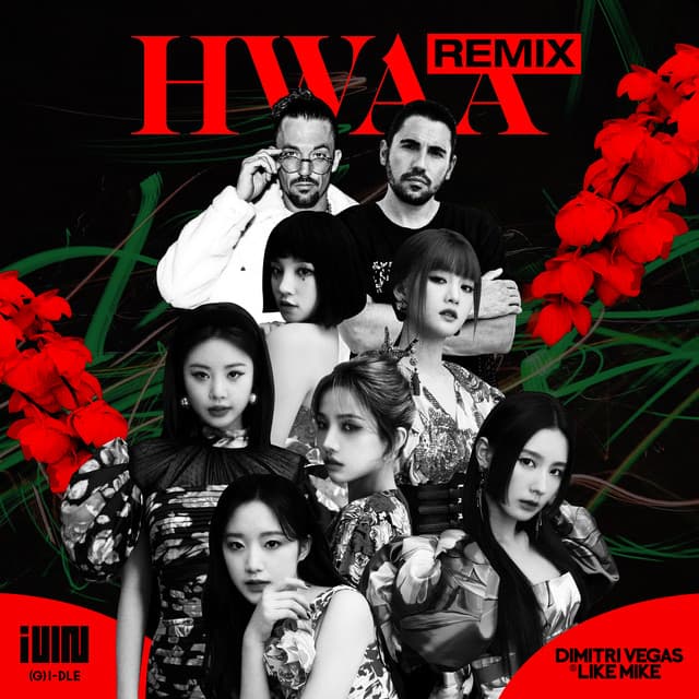 HWAA - Dimitri Vegas & Like Mike Remix cover art