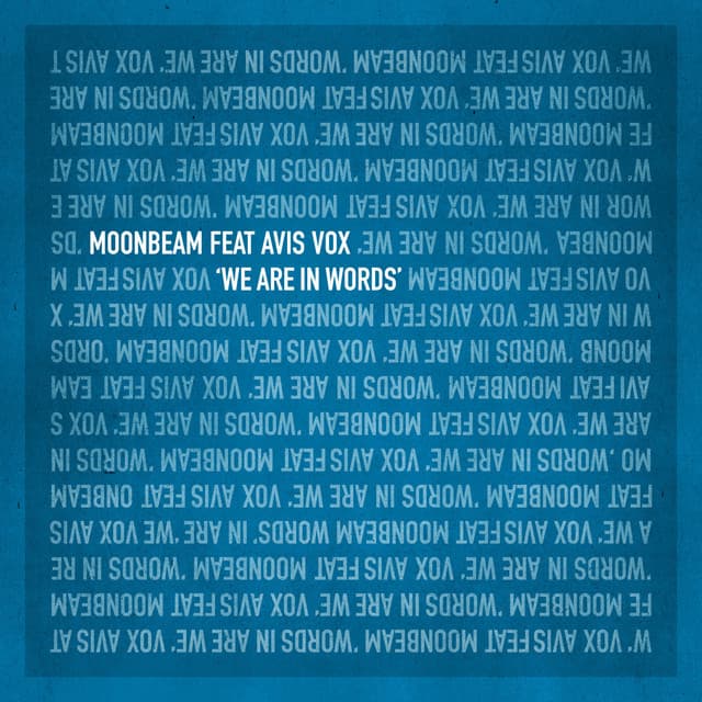We Are in Words - Ashley Wallbridge Dub Remix cover art
