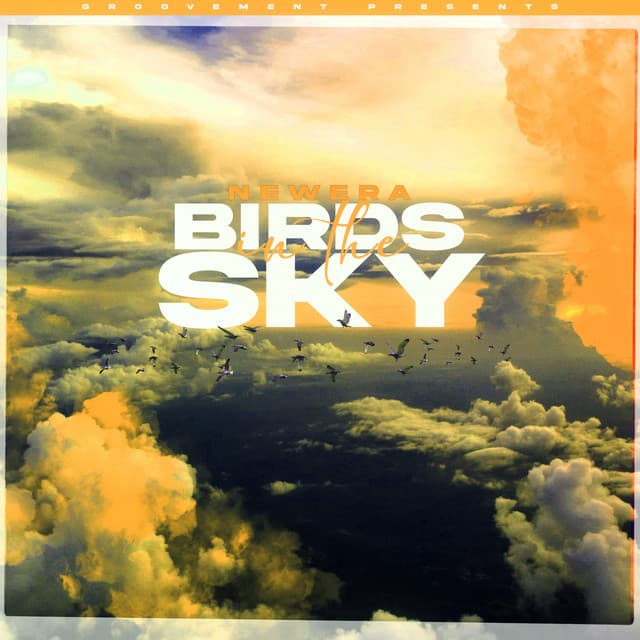 Birds In The Sky - Morgan Seatree Remix cover art