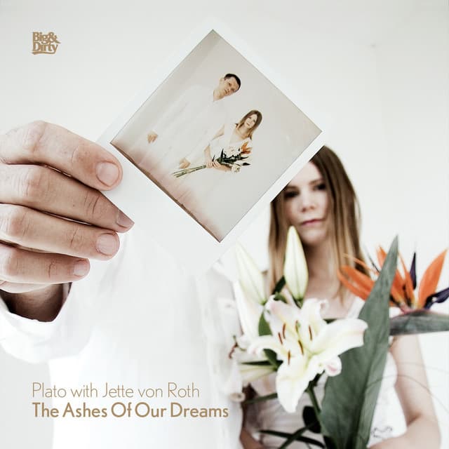 The Ashes Of Our Dreams - Toneking Vocal Remix cover art