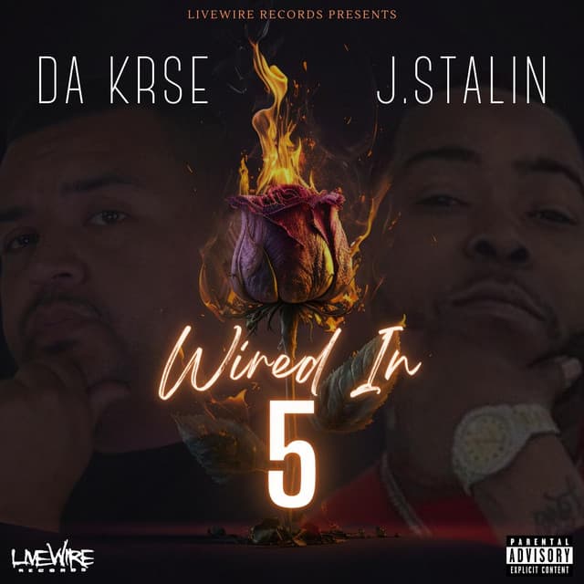 Wired In 5 cover art