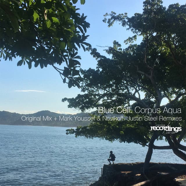 Corpus Aqua - Justin Steel Remix cover art