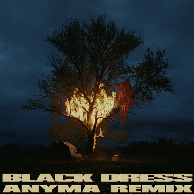 Black Dress - Anyma Remix cover art