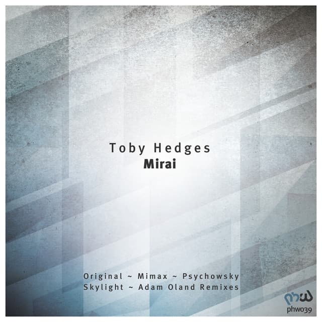 Skylight - Adam Oland Remix cover art