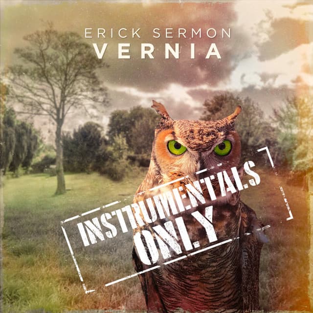 Payne Intro - Instrumental cover art
