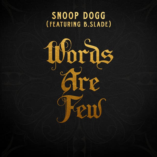 Words Are Few (feat. B Slade) (feat. B Slade) cover art