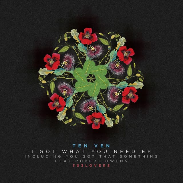I Got What You Need - Original Mix cover art