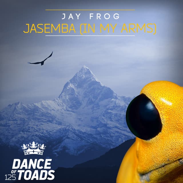Jasemba (In My Arms) - Extended Mix cover art