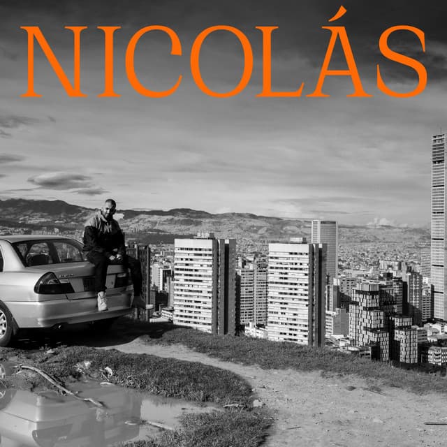 Il problema cover art