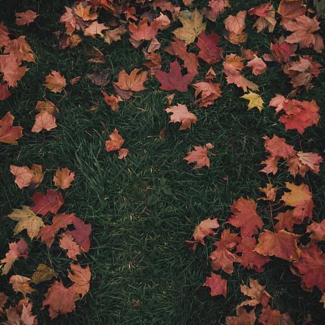October Passed Me By cover art