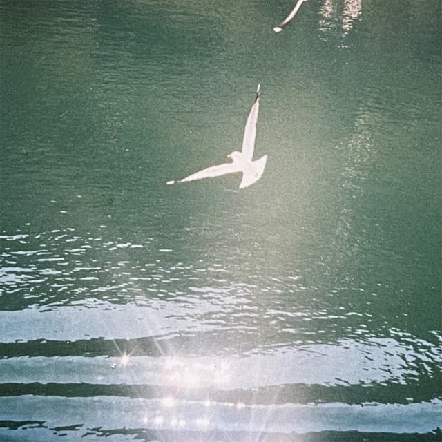 Show Me cover art
