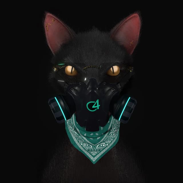 Gato de Noche cover art