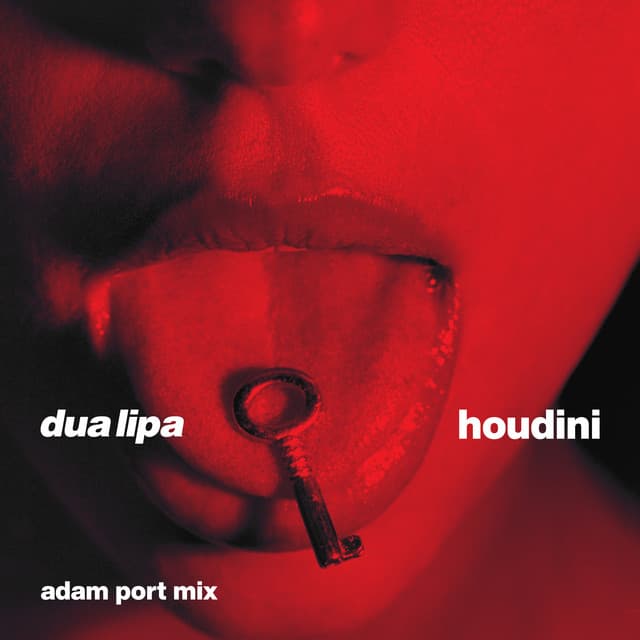 Houdini (Adam Port Mix) [Extended] cover art