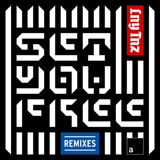 Set You Free (Moksi Remix) cover art