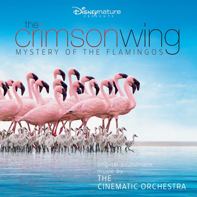 The Crimson Wing: Mystery of the Flamingos (Original Soundtrack) cover art