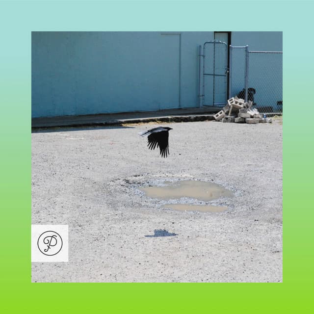 Hypnotease cover art