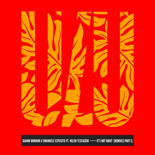 It's Not Right (Remixes Part I) cover art