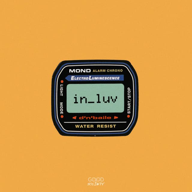 in luv cover art