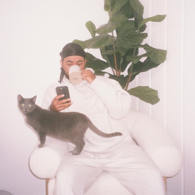 space cat cover art