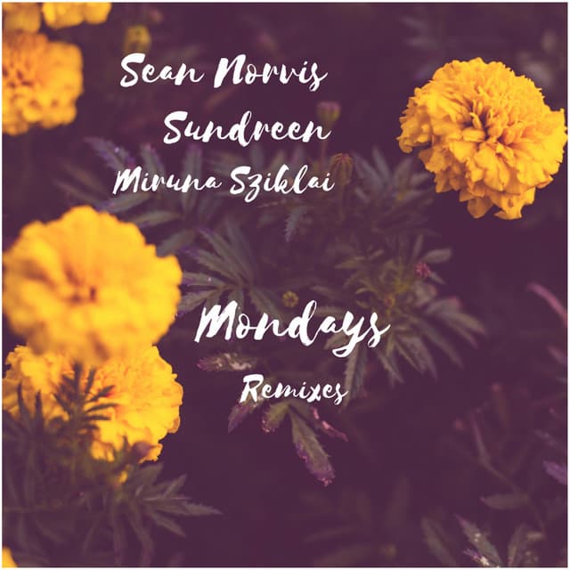 Mondays - Stephano Rossi Extended Remix cover art